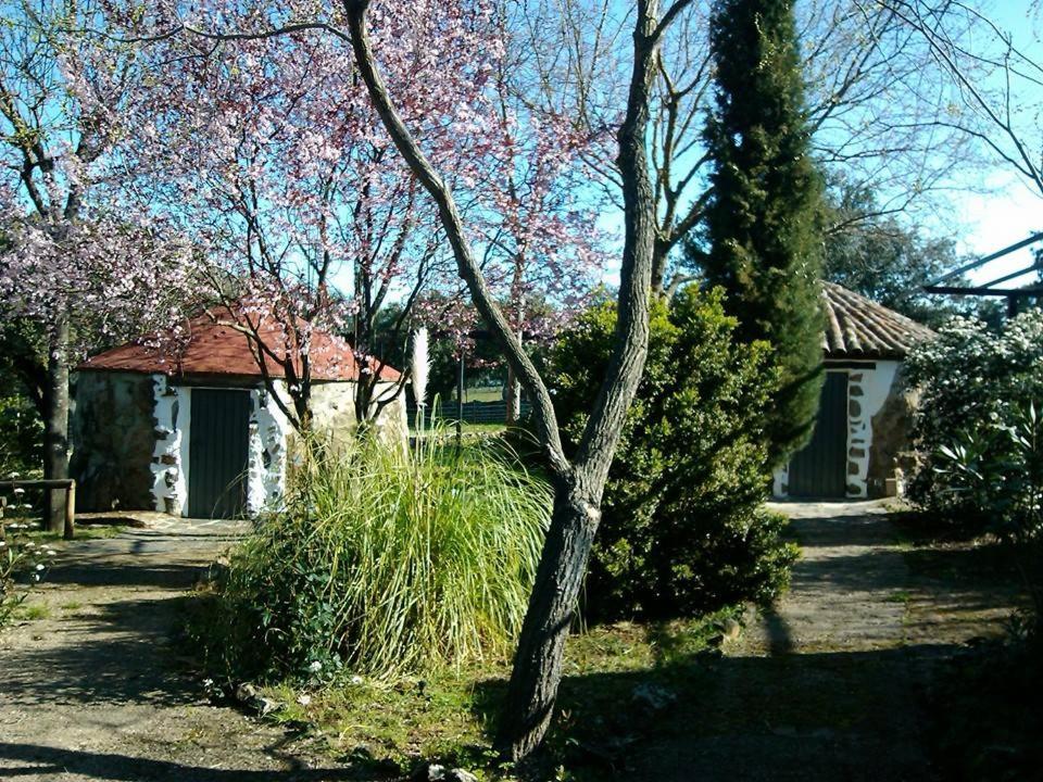 Cumbres Mayores Las Cabanas De Buffalos מראה חיצוני תמונה